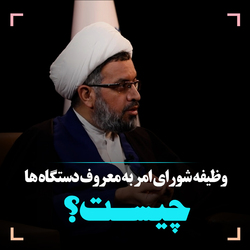 وظیفه شورای امر به معروف و نهی از منکر دستگاه ها چیست؟