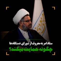 ستاد امر به معروف از شورای دستگاه ها چگونه حمایت می کند؟