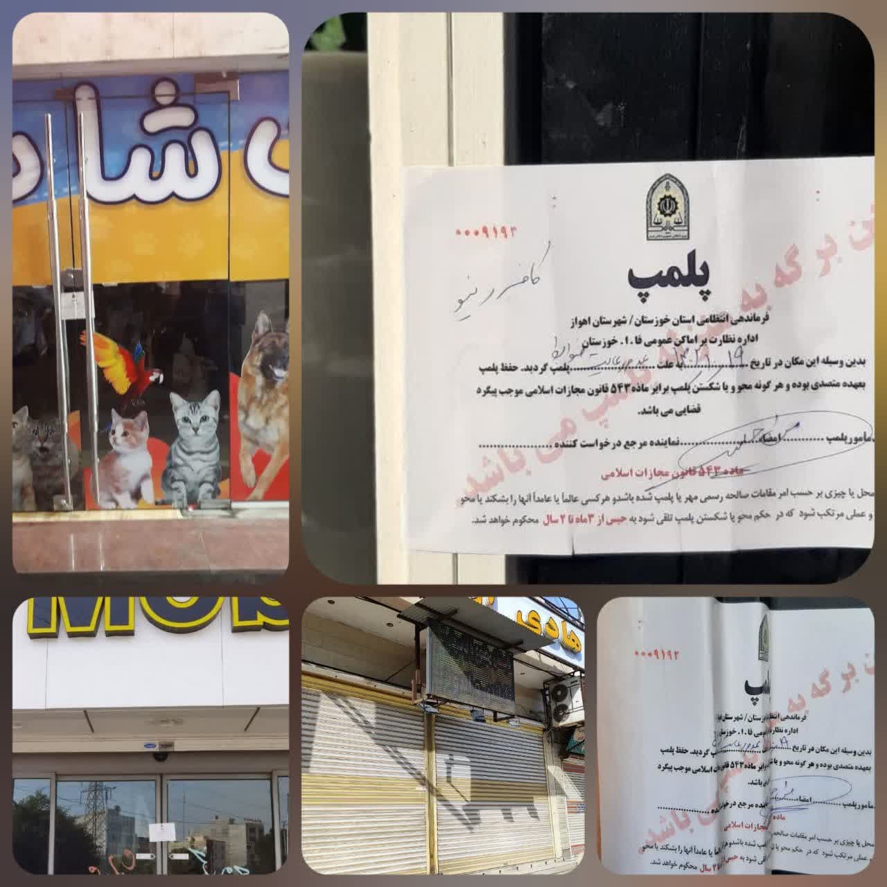 پلمپ چند واحد صنفی  در سطح استان