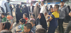 شوق پروانگی