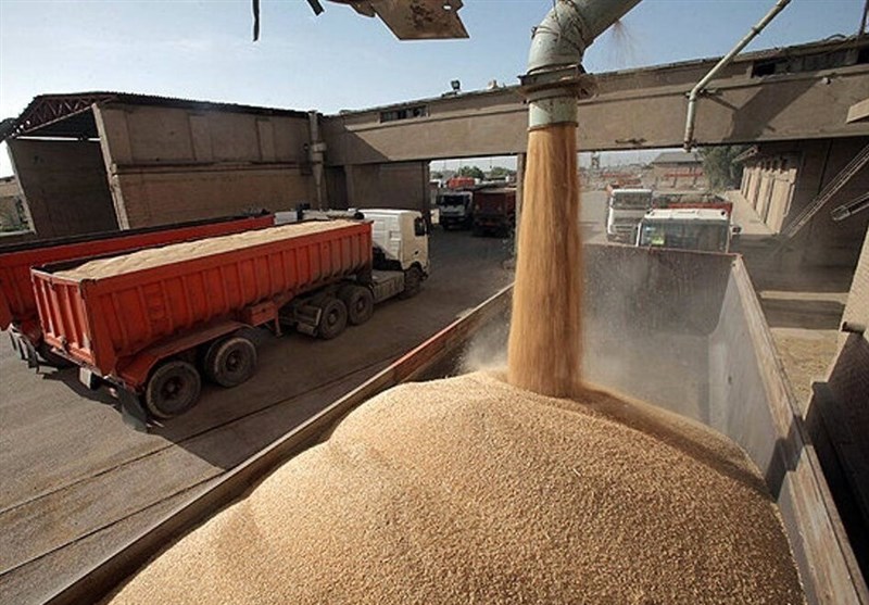 واریز 27 هزار میلیارد به حساب گندم‌کاران کردستان