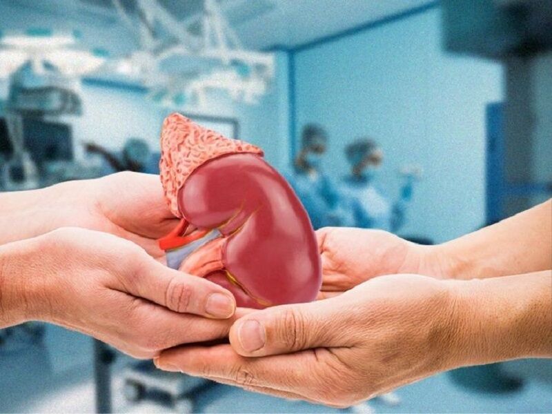 اهدای عضو نوجوان ۱۲ساله در تربت‌حیدریه زندگی دوباره به ۶ بیمار بخشید