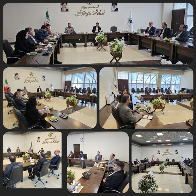 فعالیتهای اقتصادی در فرودگاه اردبیل نیازمند حمایت مسئولان استان است