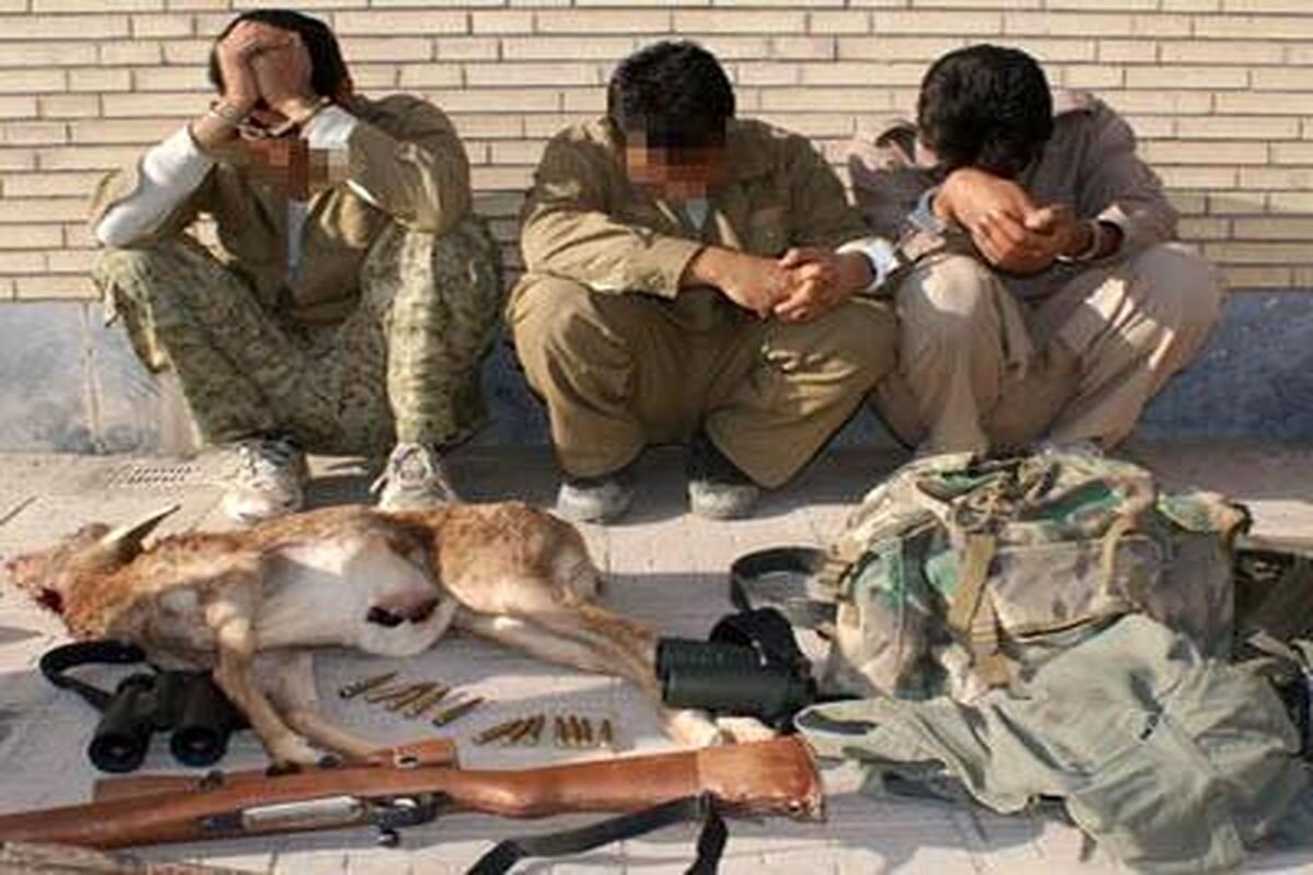   6 گروه متخلف محیط زیستی دستگیر شدند