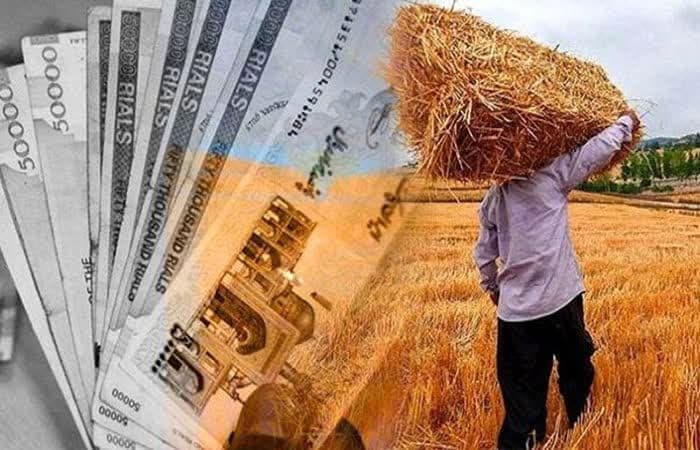 مانده مطالبات کشاورزان لرستان تا پایان هفته پرداخت می‌شود