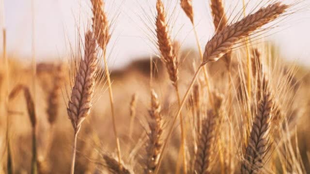 هماهنگی بیشتر بین دستگاه‌ها برای اجرای برنامه‌های فرهنگی