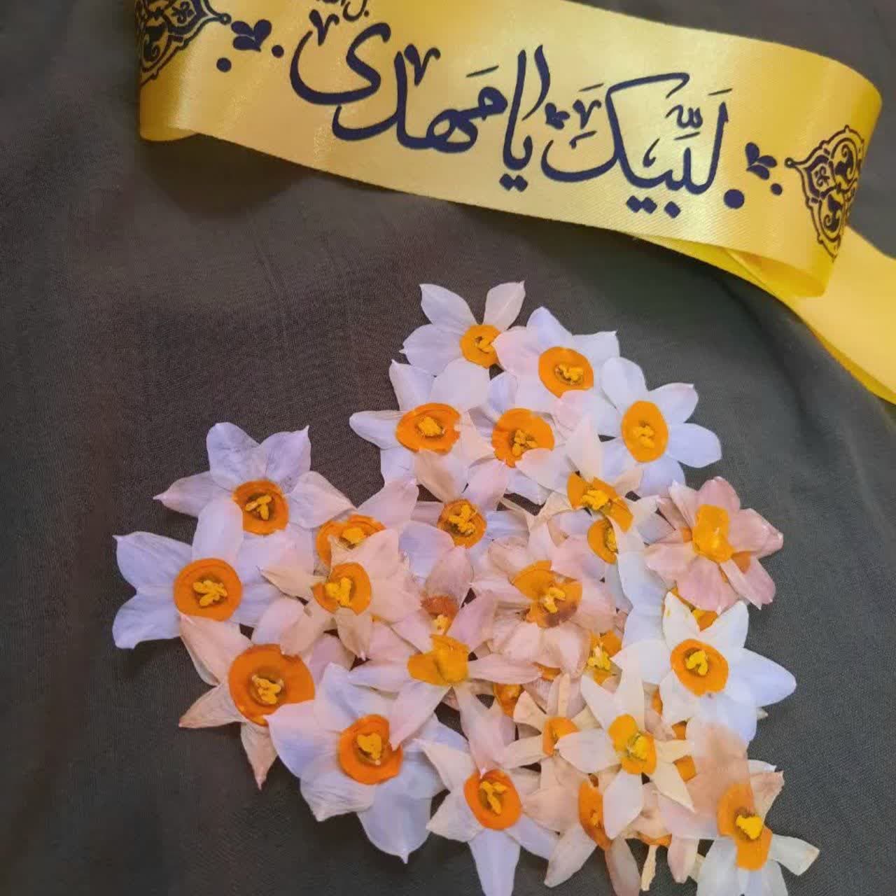 راز ضرورتِ ظهور و خالی نبودن زمین از امام