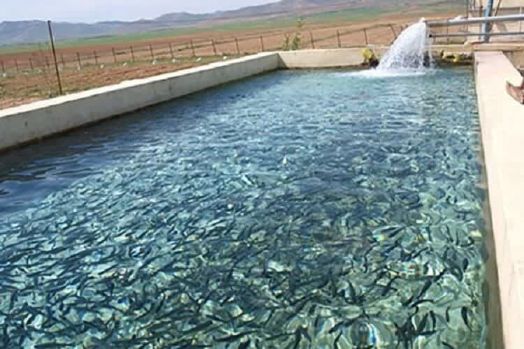 بهره‌برداری از ۱۰ طرح شیلاتی به ارزش دو هزار و ۷۵ میلیارد ریال در این استان آغاز شد