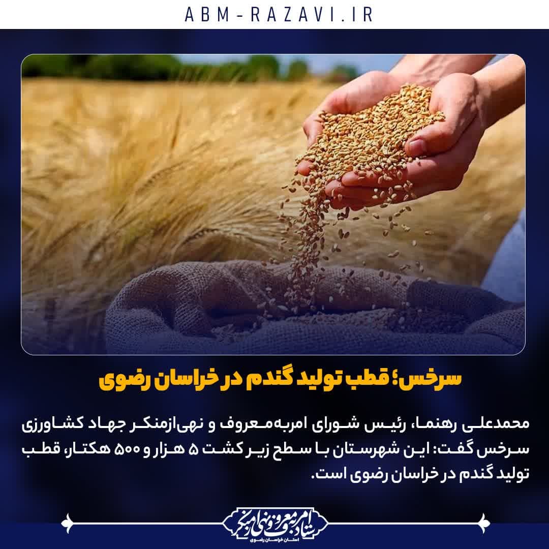 نشست خبری: سرخس؛ قطب تولید گندم در خراسان رضوی