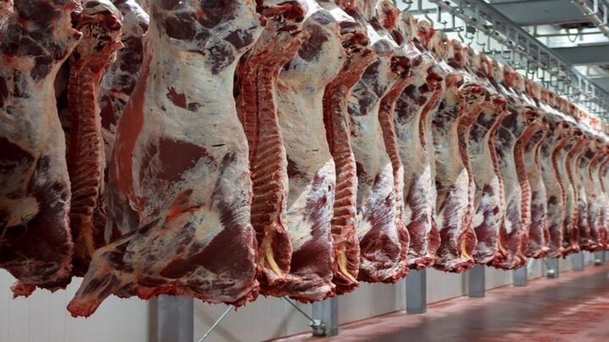 توزیع ۲۲۰ تن گوشت گوساله منجمد برای تنظیم بازار در خراسان رضوی اخبار مشهد